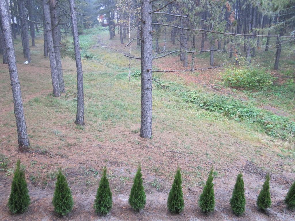 Apartment Kiki Zlatibor Kamer foto